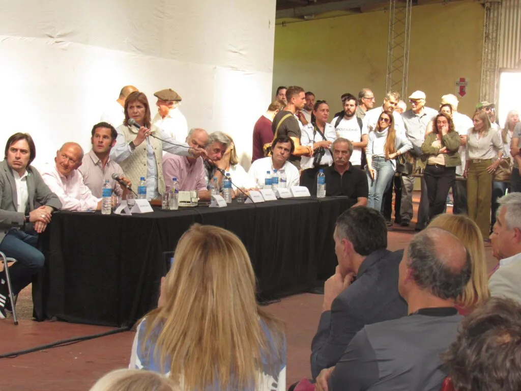 BULLRICH10-TAPA-1024x768