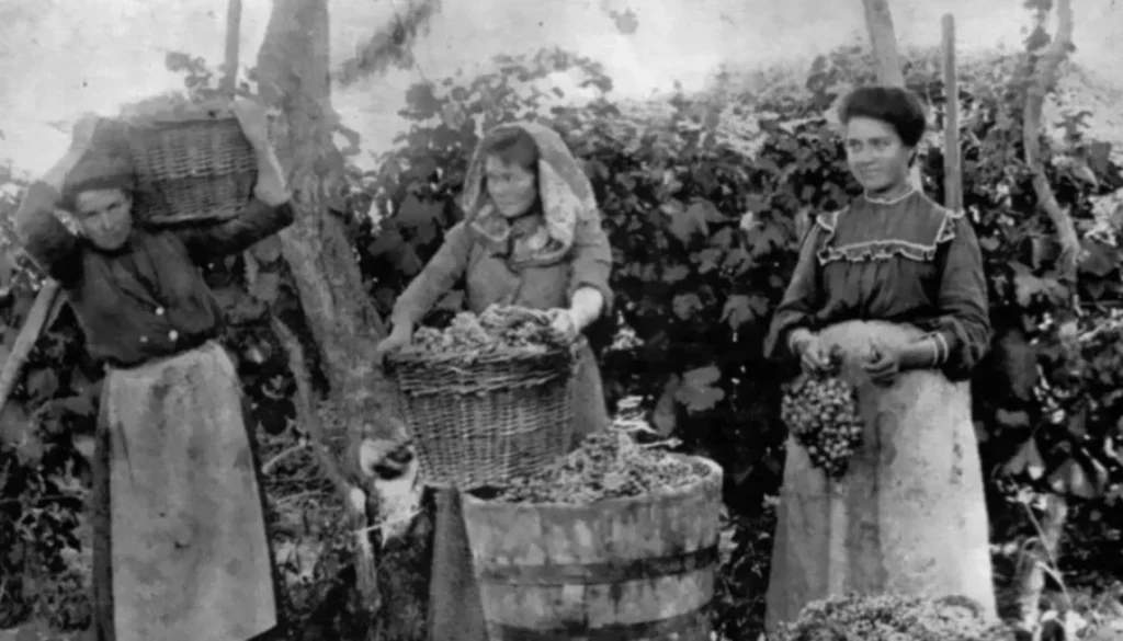 bialet-masse-1024x516-1024x585